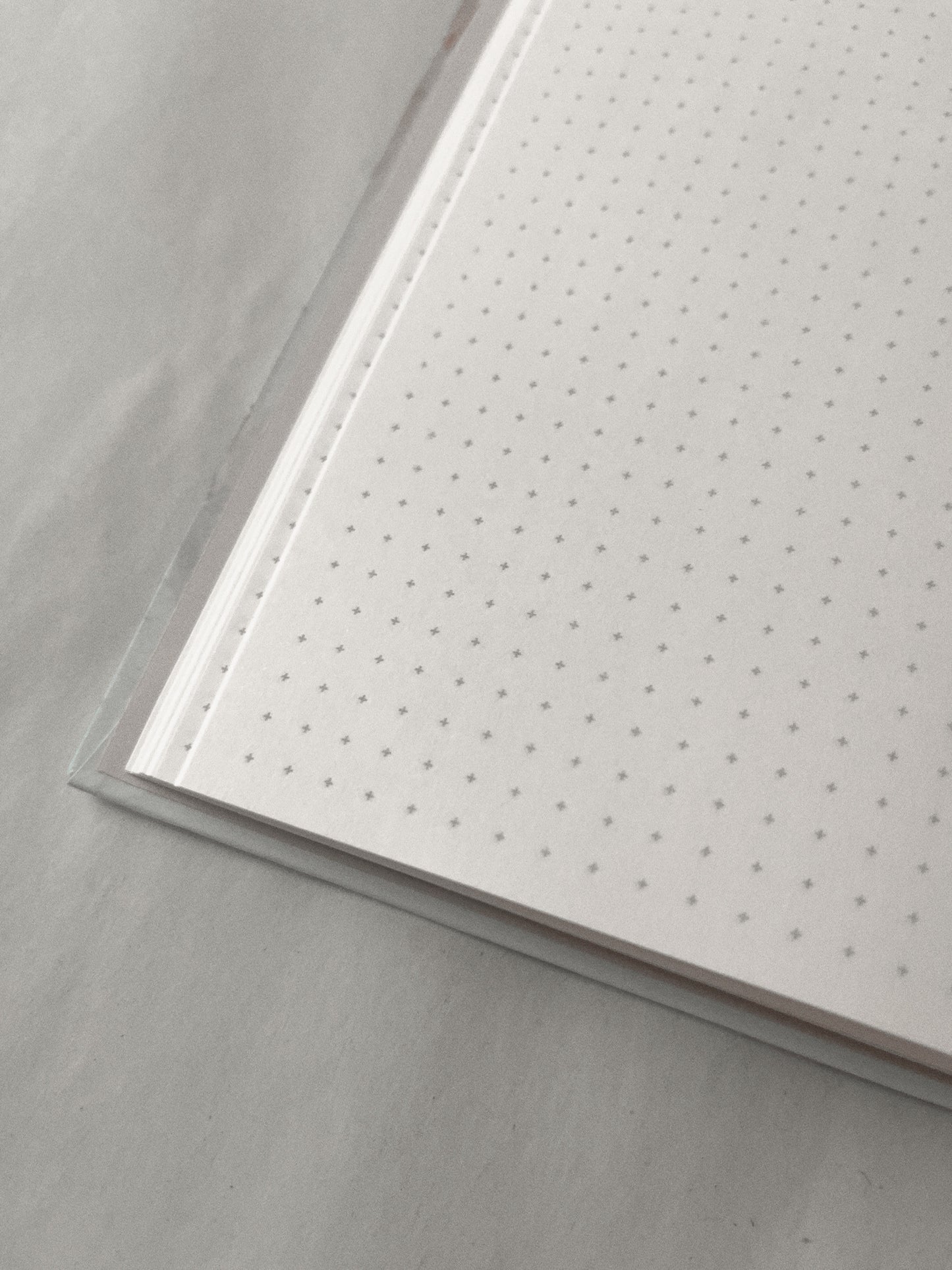 Libreta Hongos en el Bosque 1/2 carta , pasta dura, 𓍊𓋼🍄 🍄🟫 cuaderno, sketchbook, bullet journal