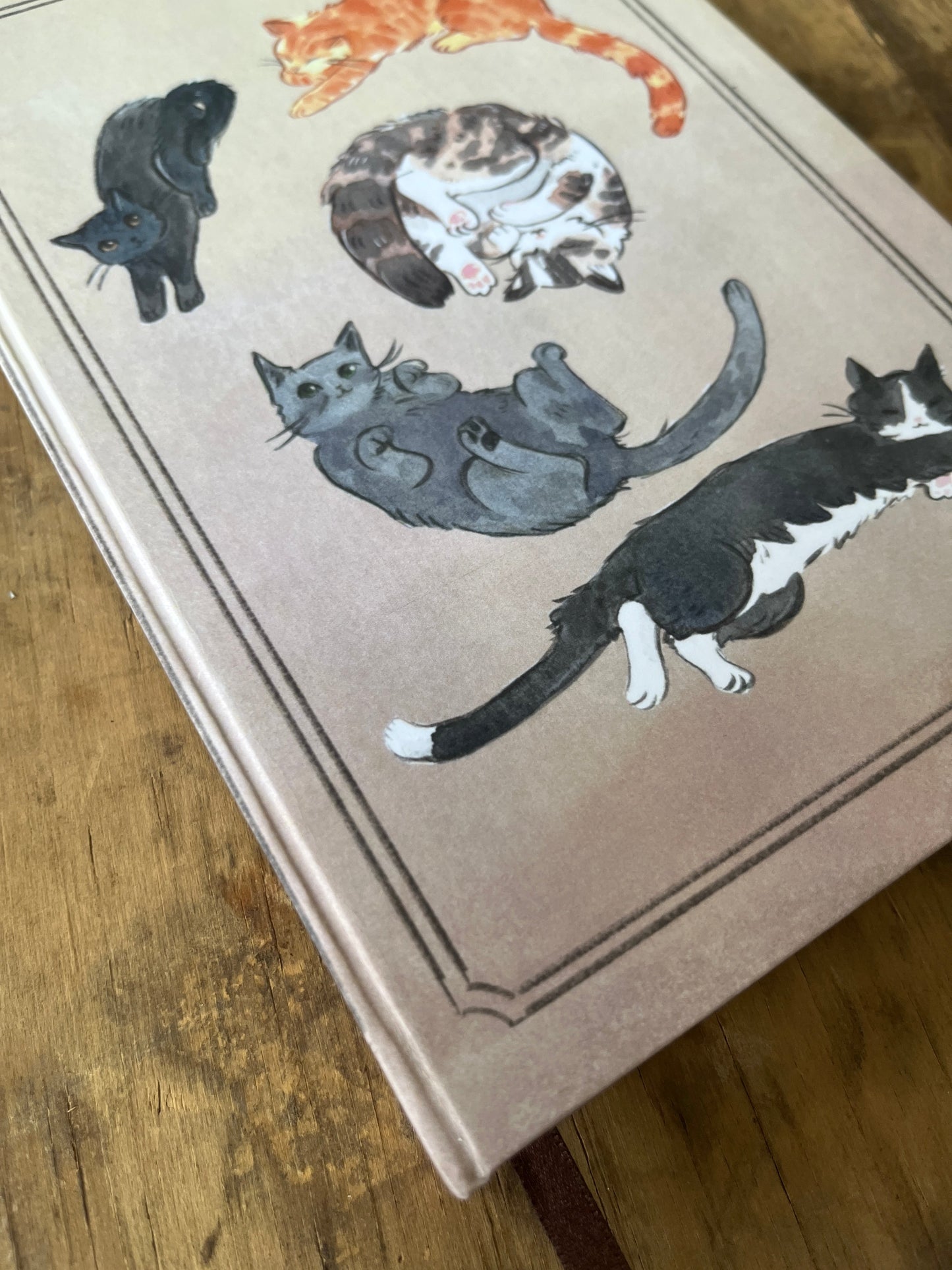 Libreta Gatos 1/2 carta 🐈🐈⬛ྀི, pasta dura, cuaderno, sketchbook, bullet journal