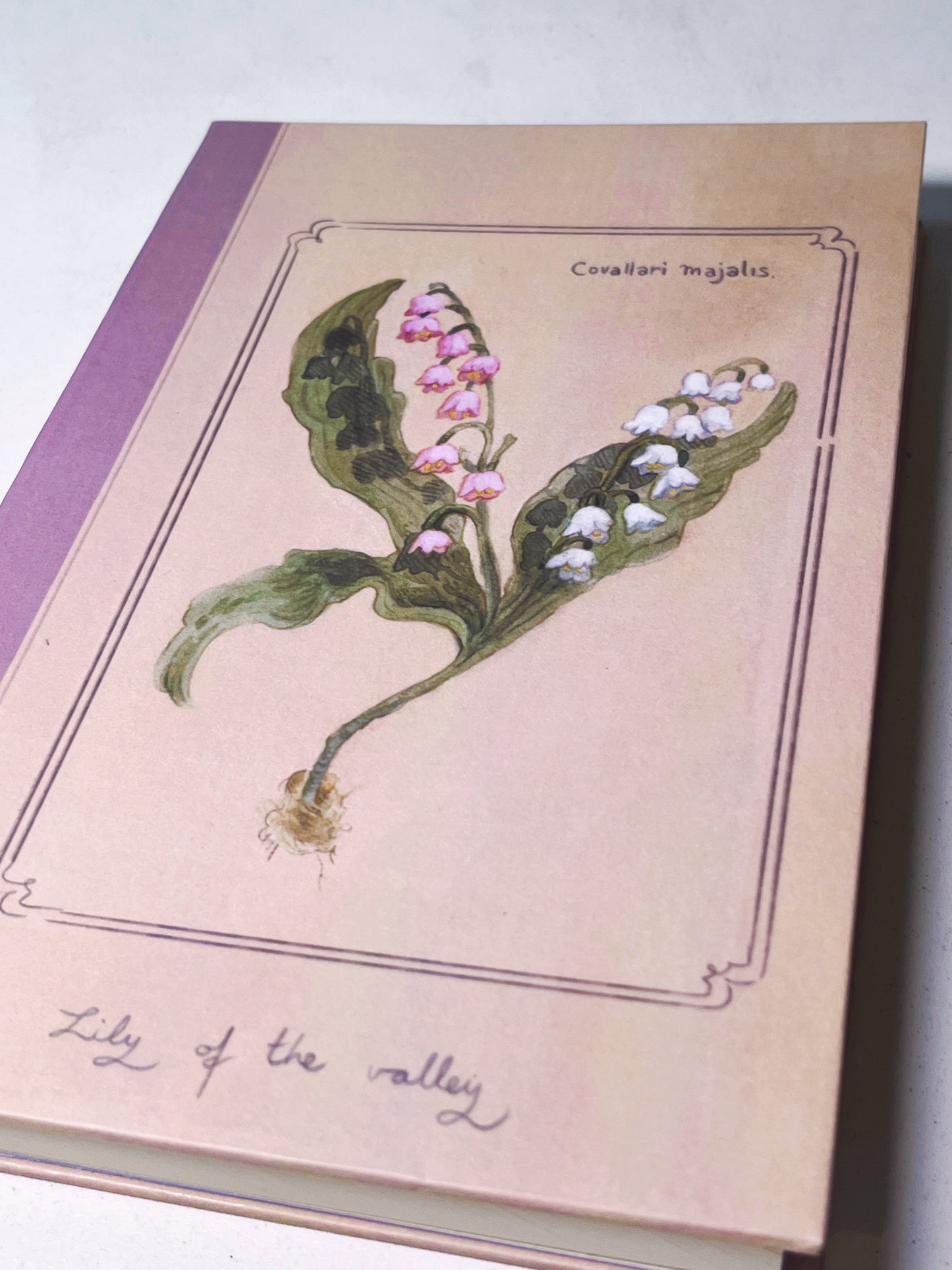 Libreta Campanillas  1/2 carta, pasta dura, cosida, cuaderno, sketchbook, bullet journal