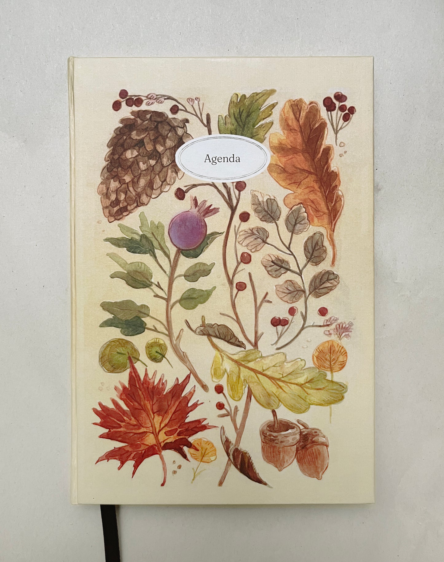 Agenda Abierta 2026 🍂📔🌿 Planificador semanal, mensual, pasta dura