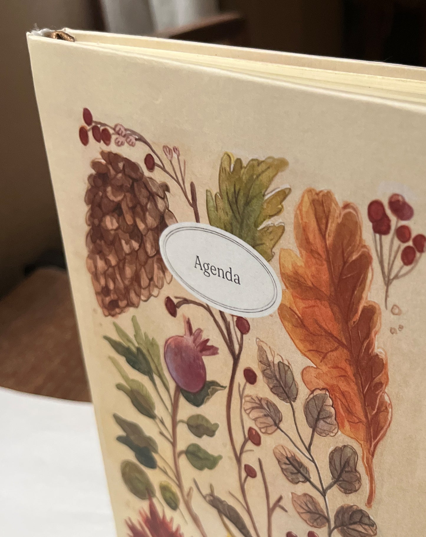 Agenda Abierta 2026 🍂📔🌿 Planificador semanal, mensual, pasta dura