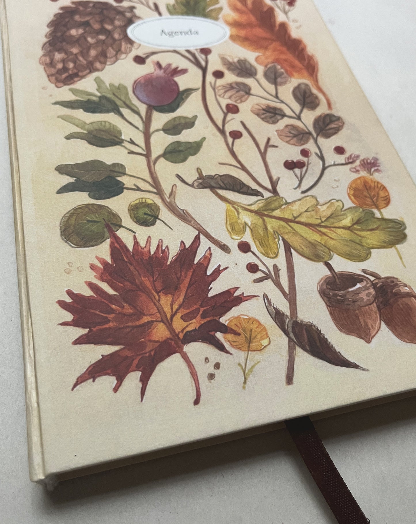 Agenda Abierta 2026 🍂📔🌿 Planificador semanal, mensual, pasta dura