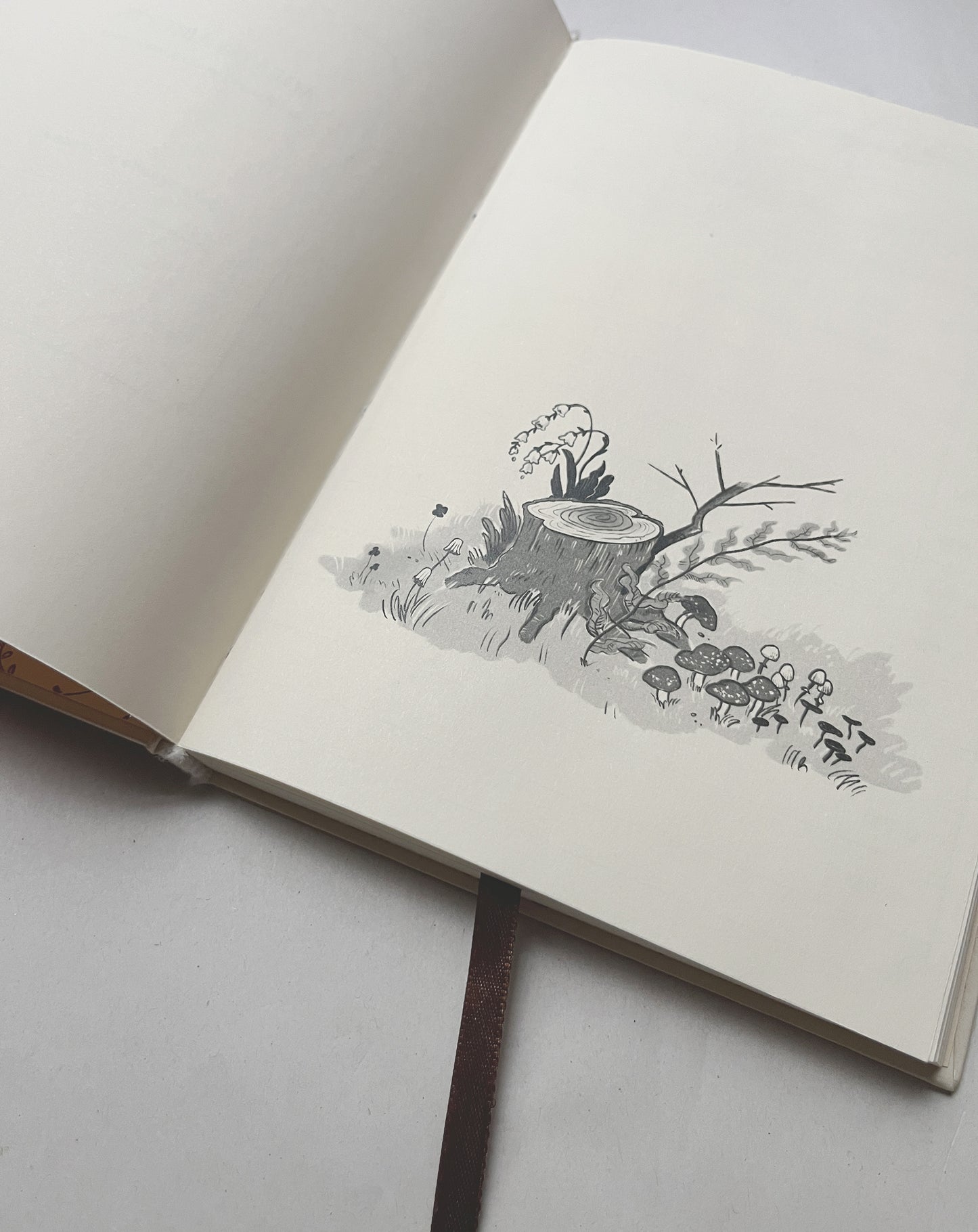 Agenda Abierta 2026 🍂📔🌿 Planificador semanal, mensual, pasta dura