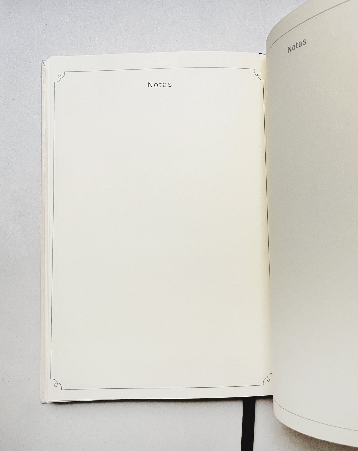 Agenda Abierta 2026 🍂📔🌿 Planificador semanal, mensual, pasta dura