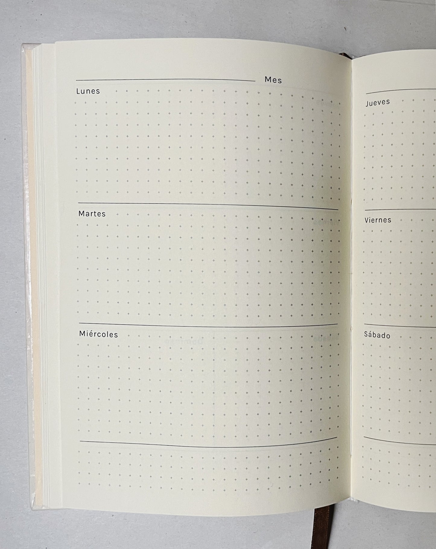 Agenda Abierta 2026 🍂📔🌿 Planificador semanal, mensual, pasta dura