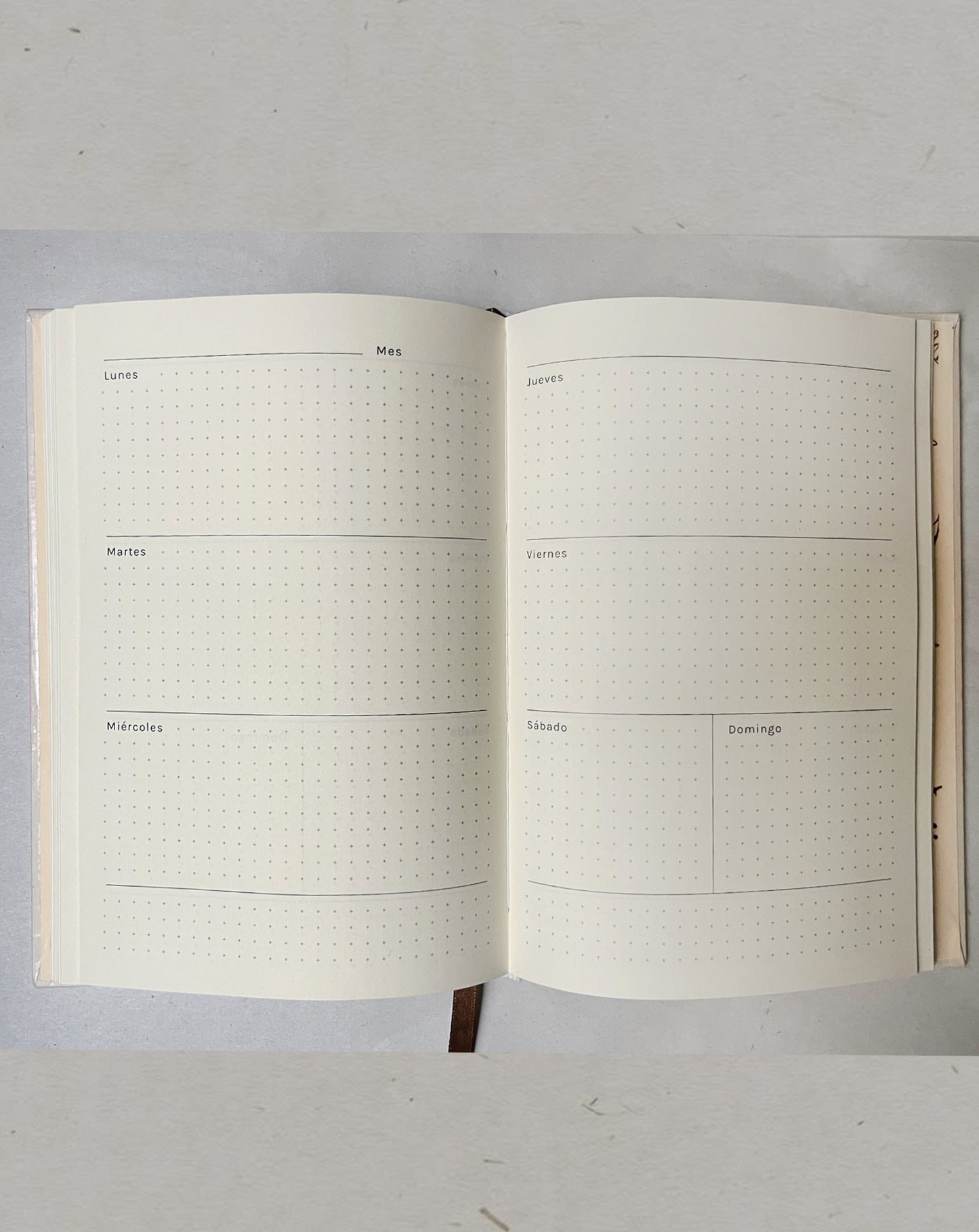 Agenda Abierta 2026 🍂📔🌿 Planificador semanal, mensual, pasta dura