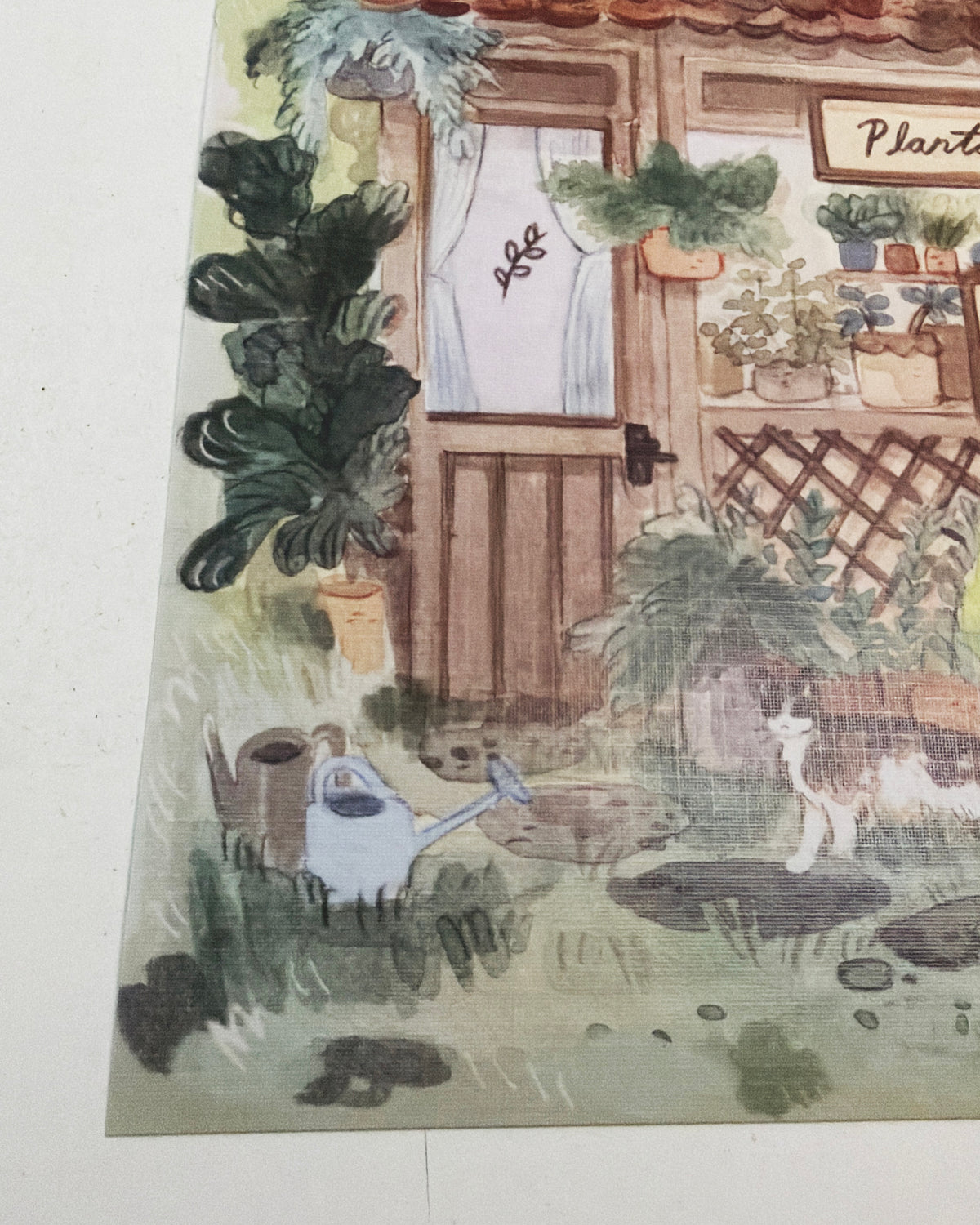 Print Plantas 🪴 reproducción en papel texturizado de ilustración en acuarela