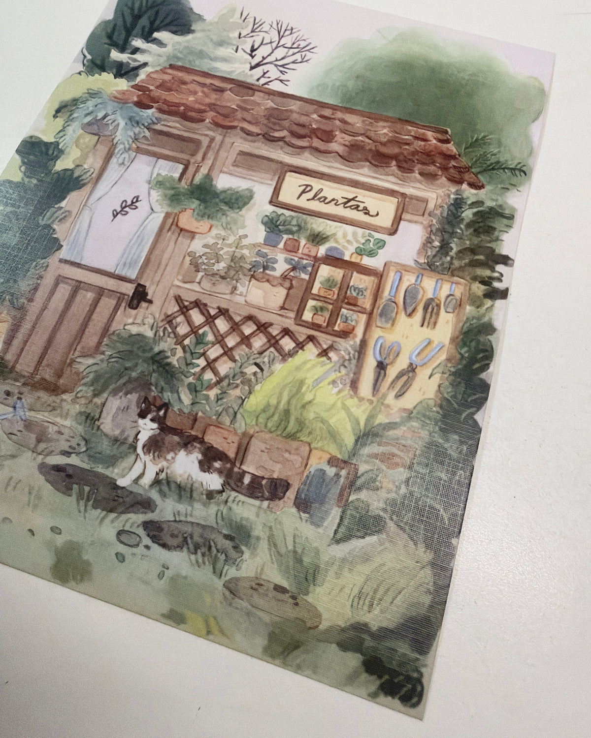 Print Plantas 🪴 reproducción en papel texturizado de ilustración en acuarela