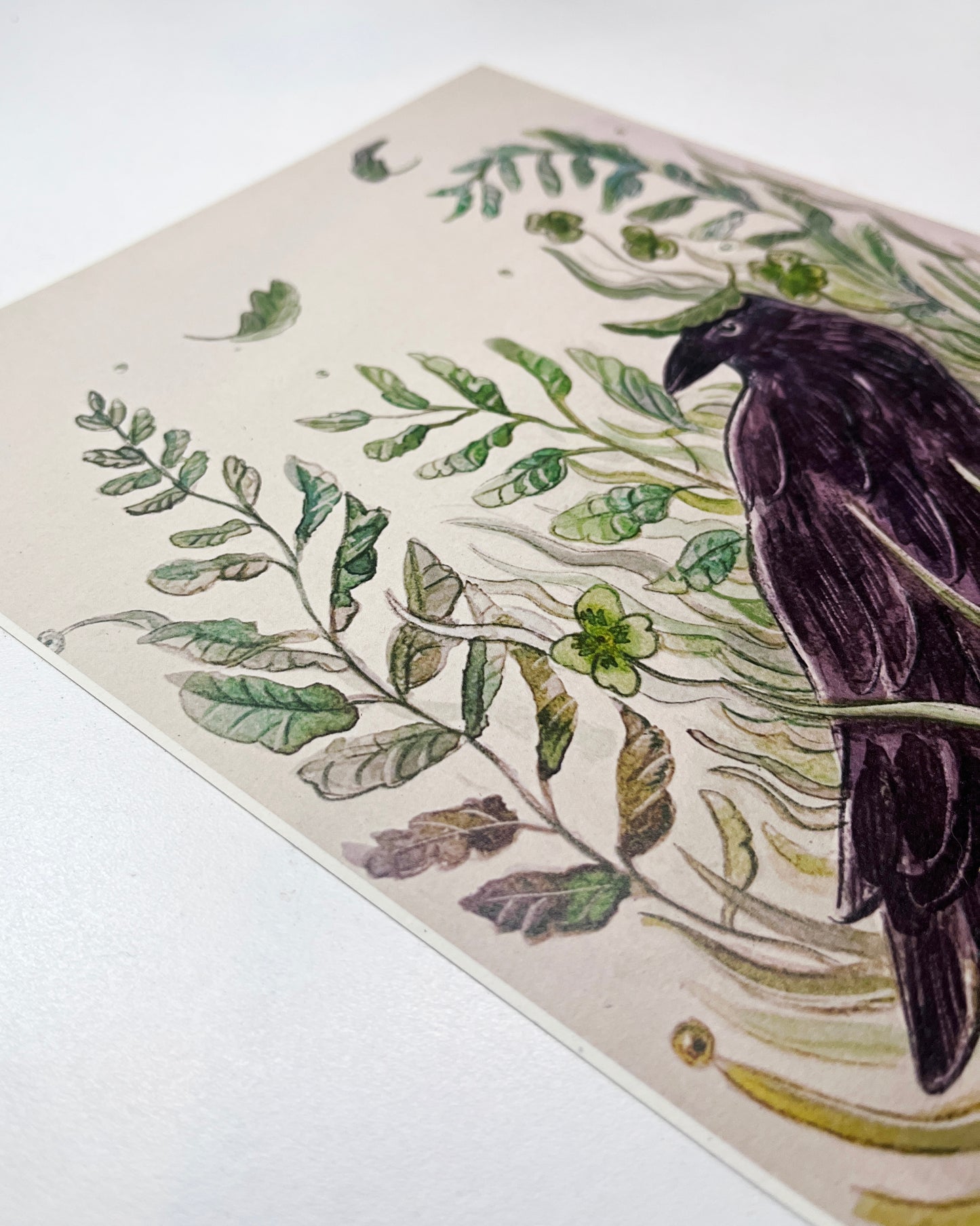 Print, Cuervo en el jardín, ilustración, reproducción en papel texturizado