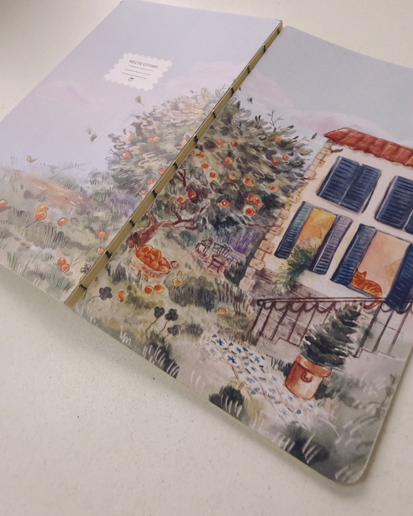 Libreta suave Naranjo 🍊🍃 cuaderno cosido hojas en blanco