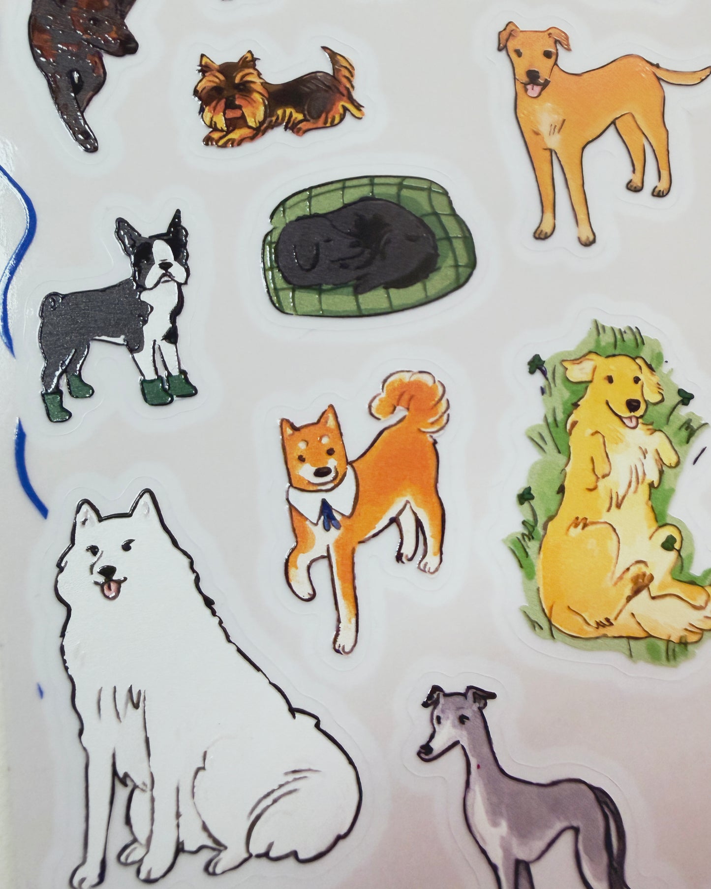 Canis Crunchis Planilla Stickers 🐶🐾vinil con textura estampas