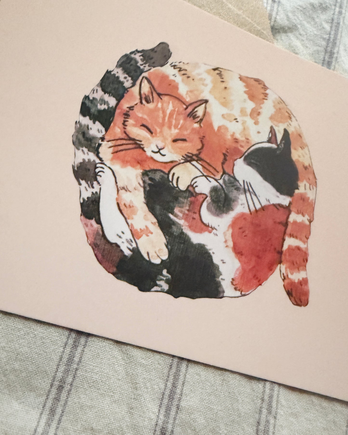 Postal Encuentro de Gatitos Enroscados ฅ^>⩊<^ ฅ