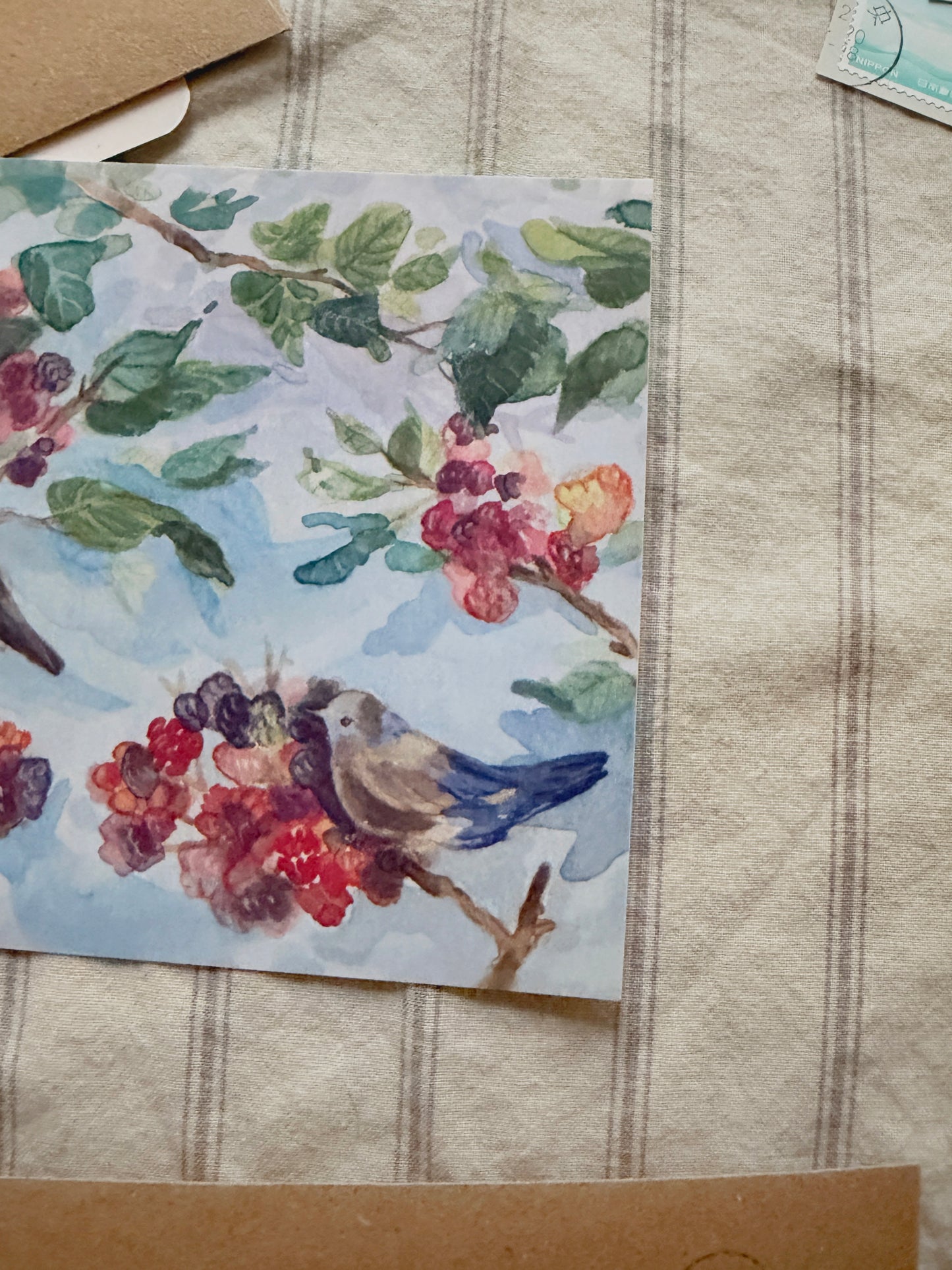 Postal Pájaros en un arbusto de Zarzamoras