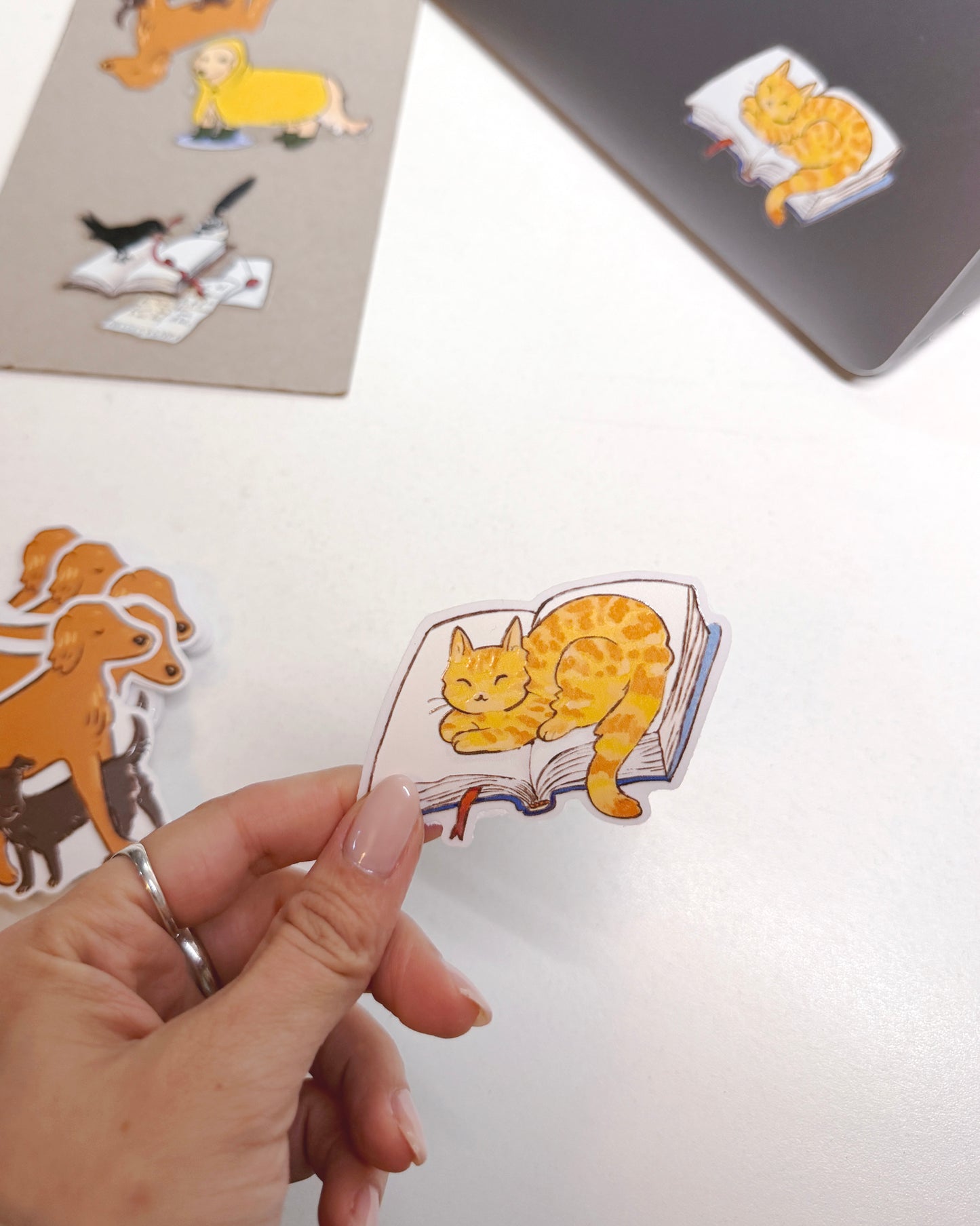 Sticker individual Gatito sobre Libro 📖  ⚞^. .^⚟